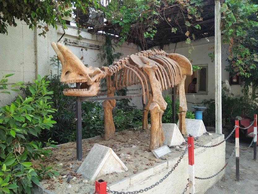 4 Terrific Hidden Gems in Cairo's Busiest Neighbourhoods