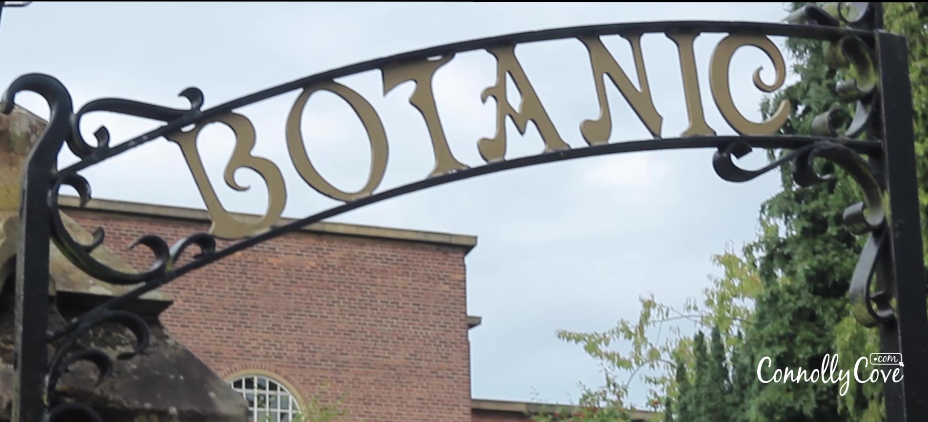 The Ultimate Guide to 22 Things to do in Belfast