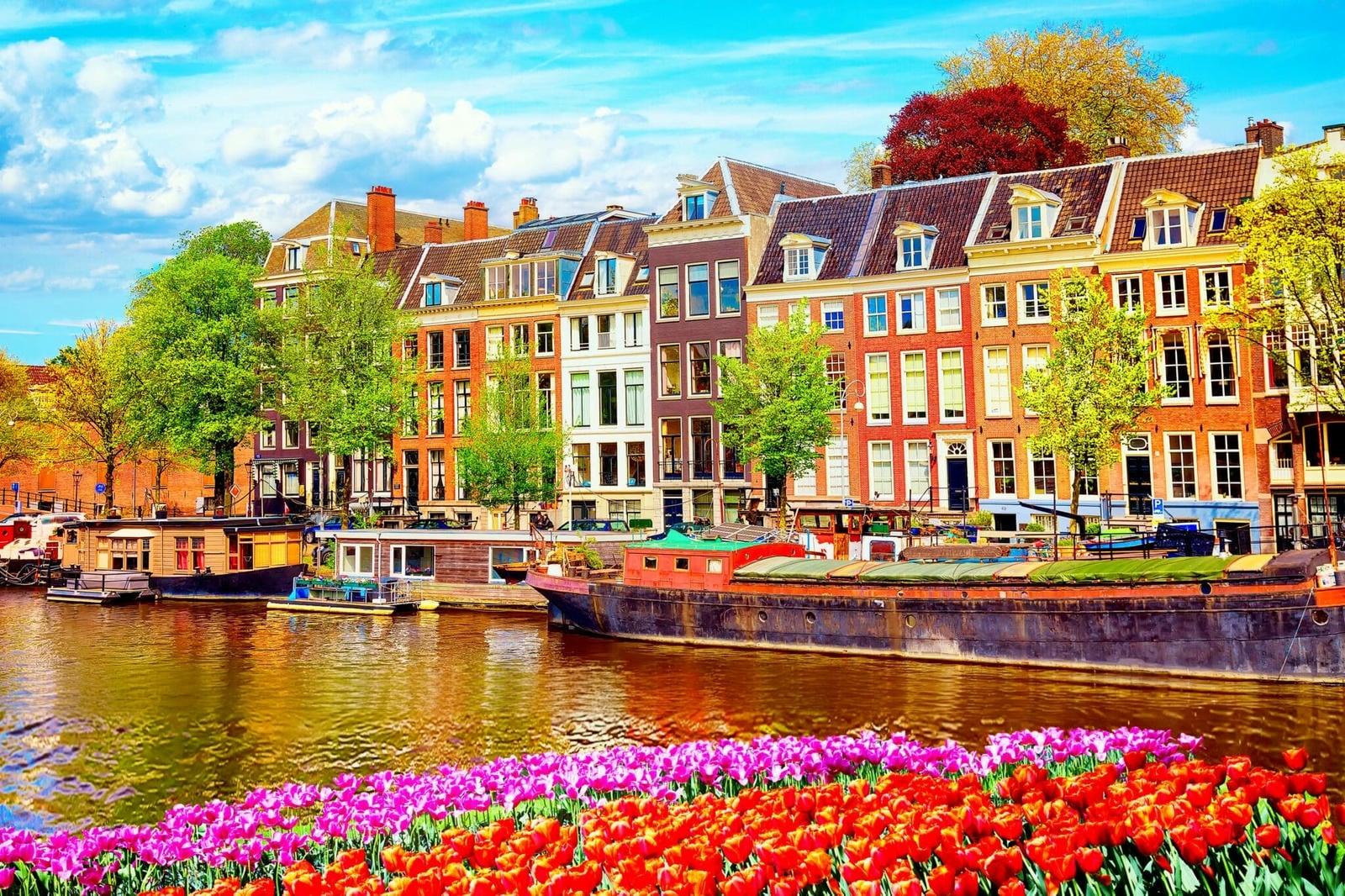 Amsterdam Tourism Statistics from 2019 to 2024: Exploring Key Insights