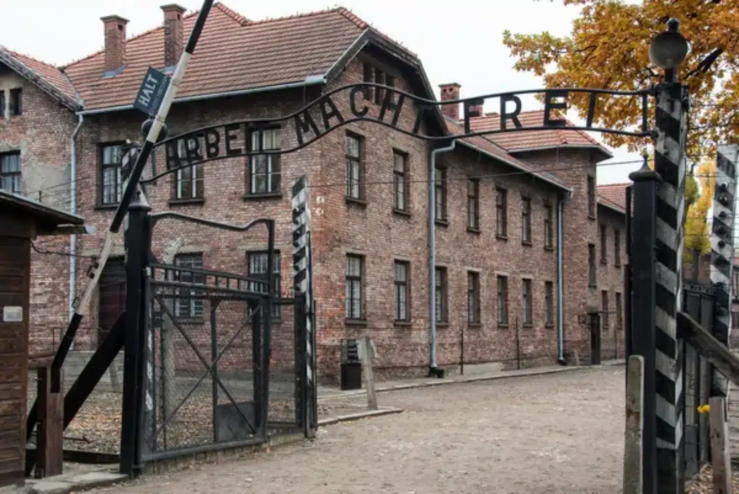 Auschwitz