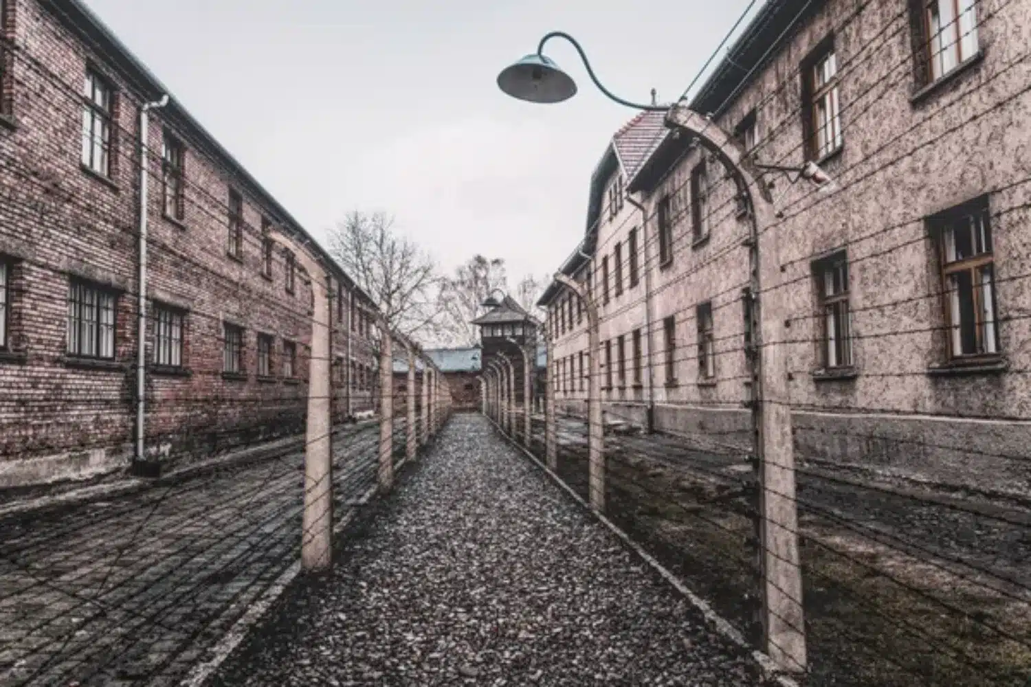 Inside Auschwitz, the World's Most Notorious UNESCO Heritage Site—Would You Dare to Visit It?