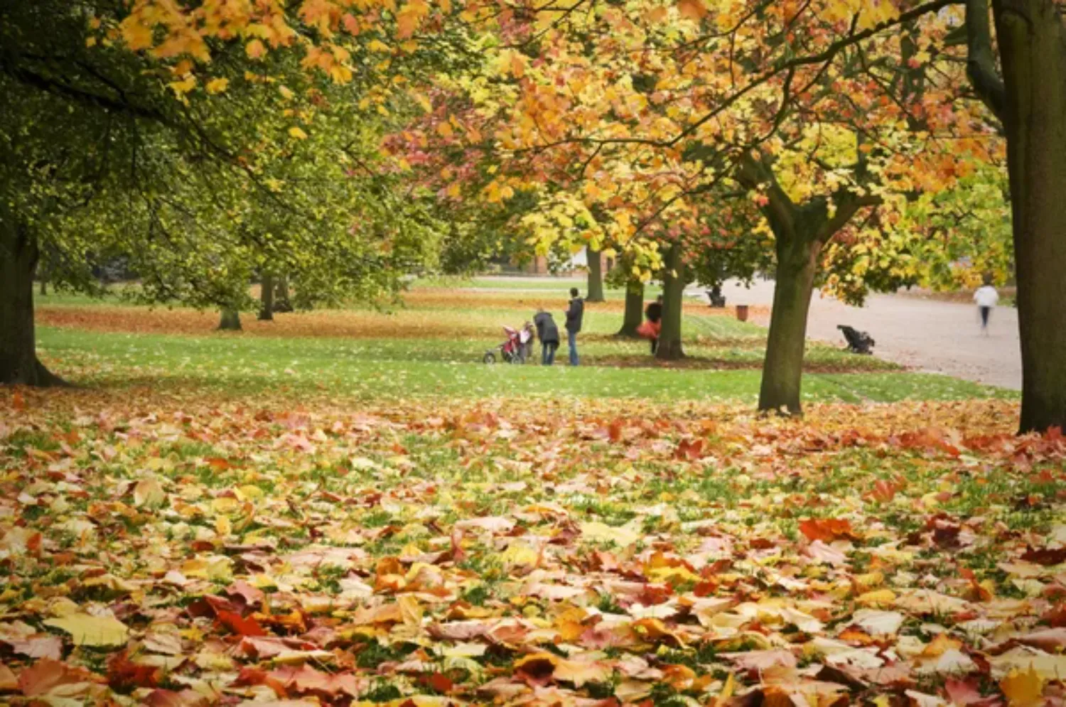 Holiday Parks in England