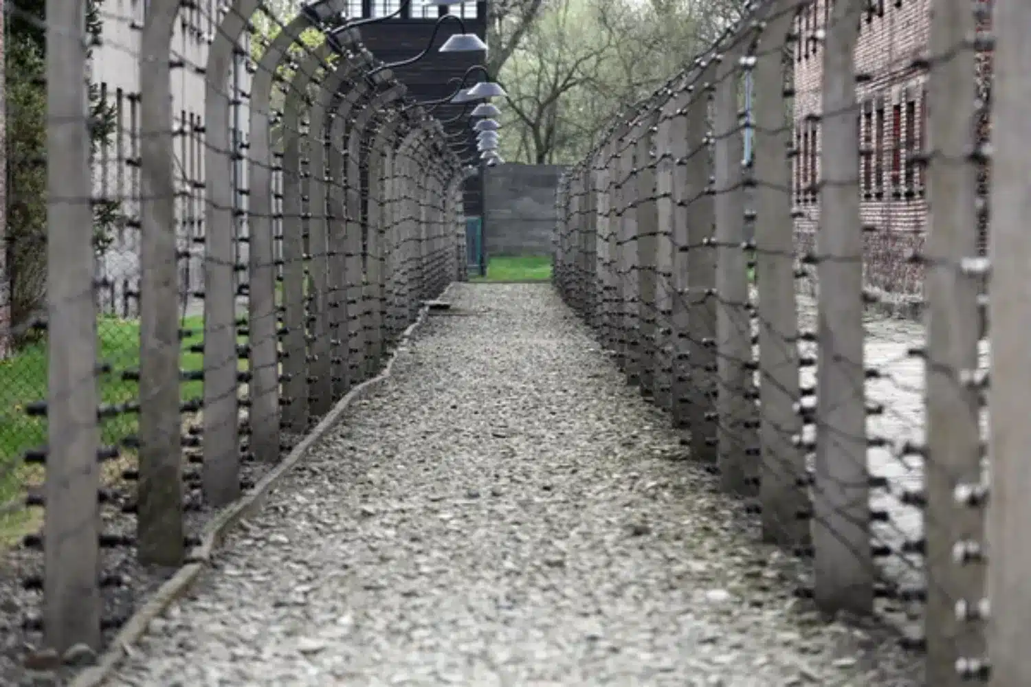 Inside Auschwitz, the World's Most Notorious UNESCO Heritage Site—Would You Dare to Visit It?