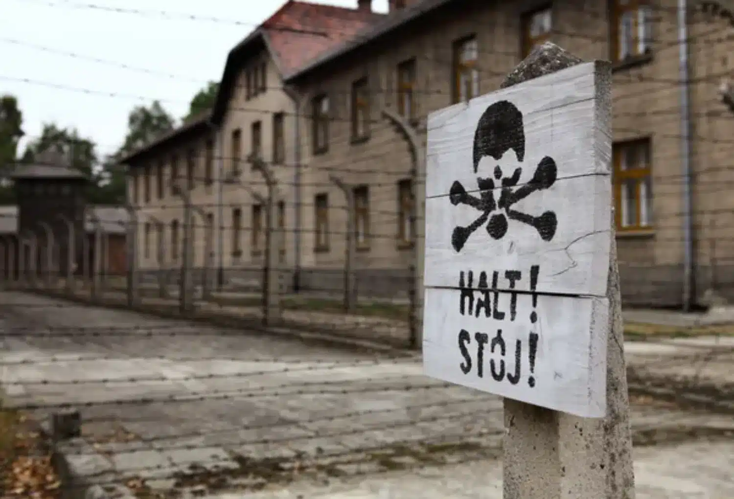 Inside Auschwitz, the World's Most Notorious UNESCO Heritage Site—Would You Dare to Visit It?