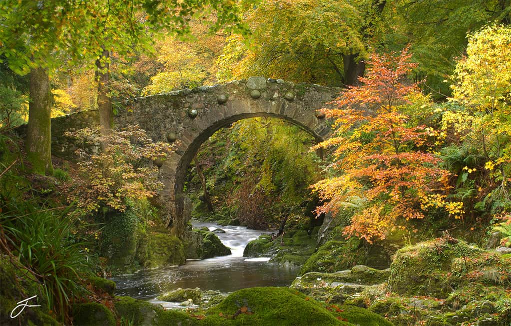 dungeons and dragons film 2