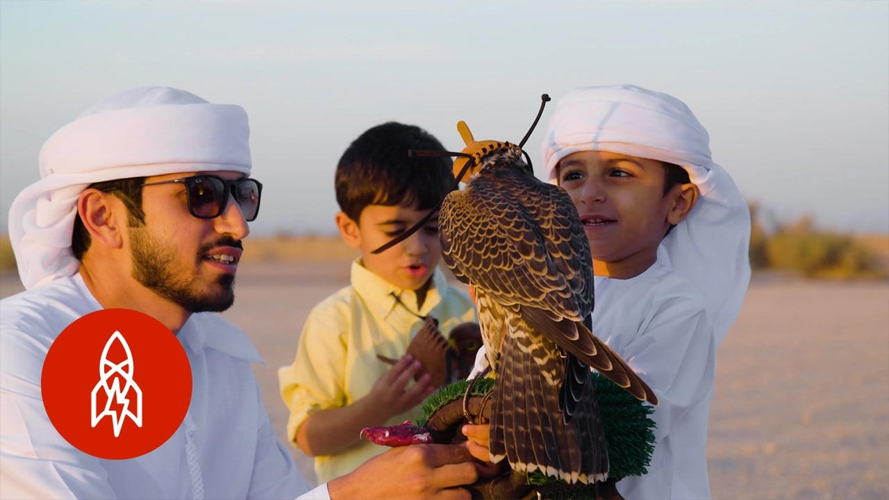 The Art of Falconry