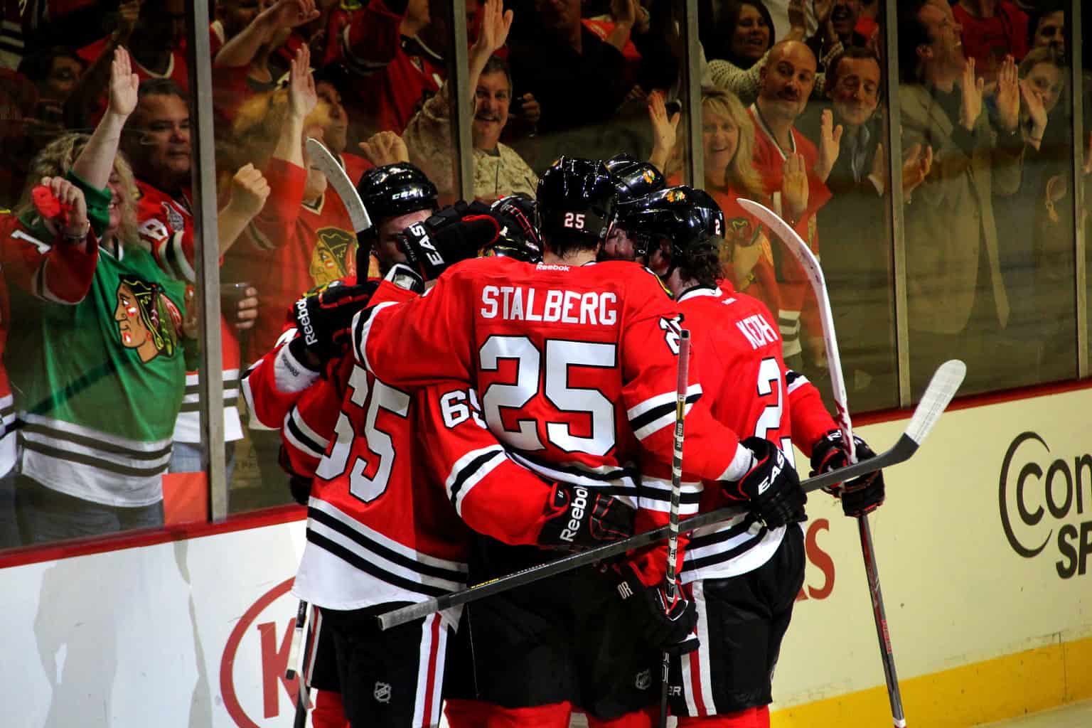 Chicago blackhawks hockey - goal