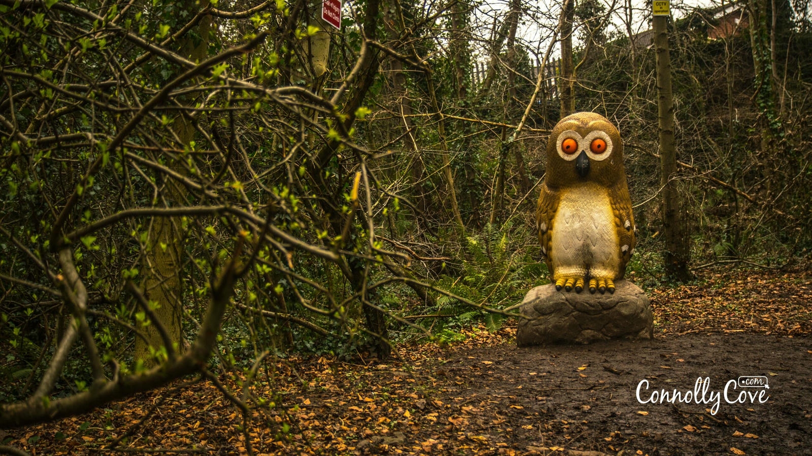gruffalo trail