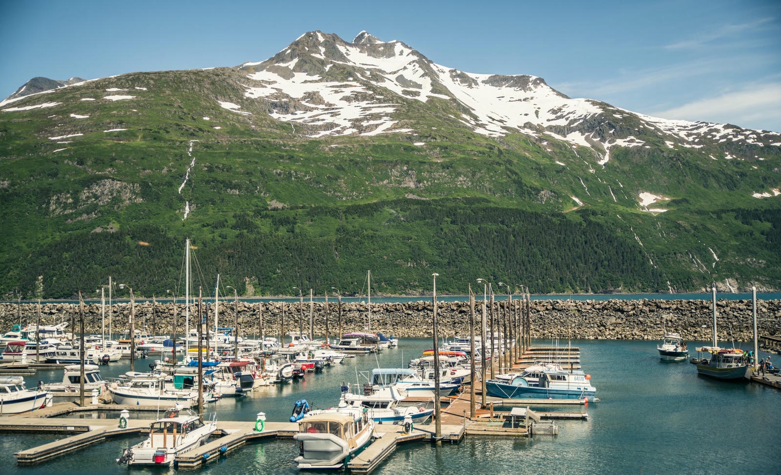 Things to do in Seward: Seward Harbor