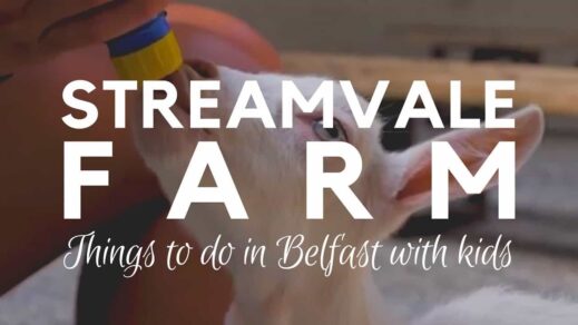 The Best Open Farms in Northern Ireland