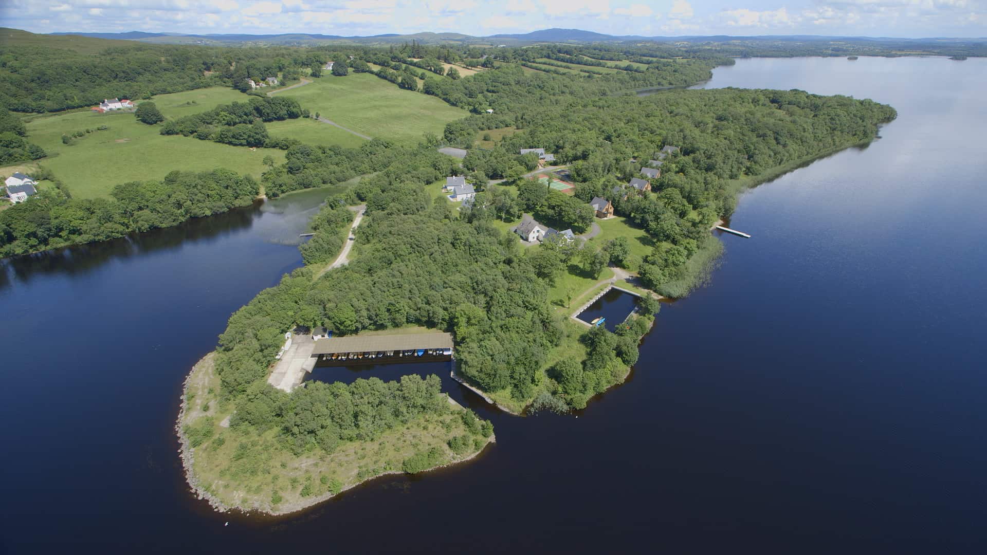 muckross-wood-northern-ireland-staycation