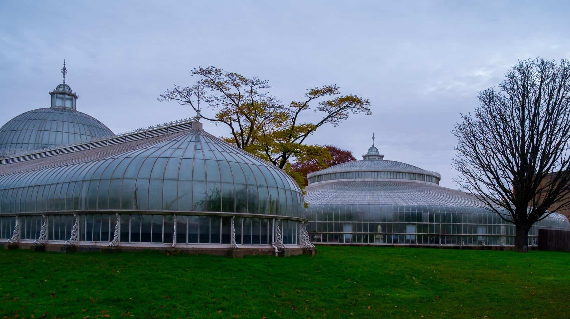 Explore Glasgow: Botanic Gardens