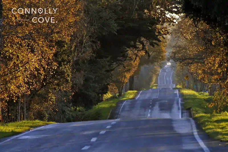 Discover the Most Scenic Road Trips in Wales