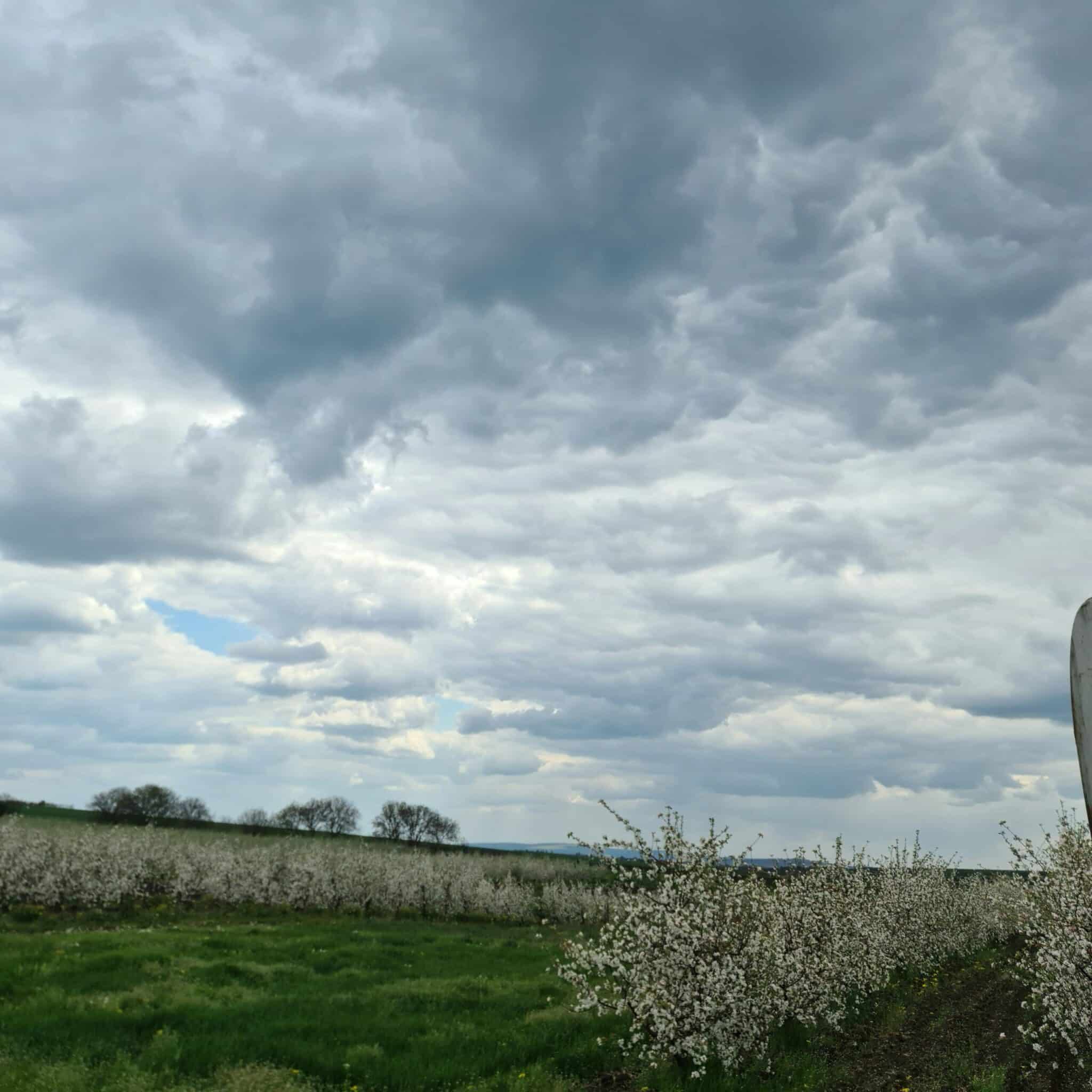 The Whispering Winds: Unveiling Ireland's Enigmatic Weather Lore and Myths