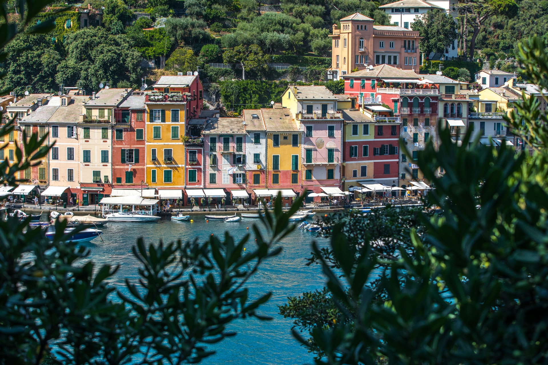 Genoa