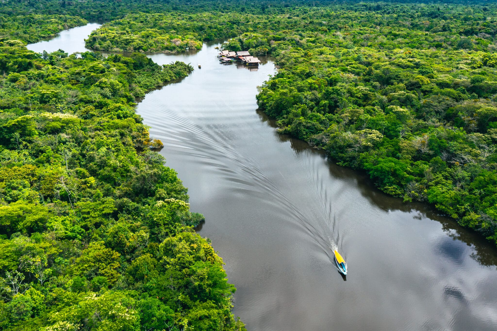 The Amazon Rainforest: The Lungs of Our Planet and Its Peoples – Unveiling Their Vital Role