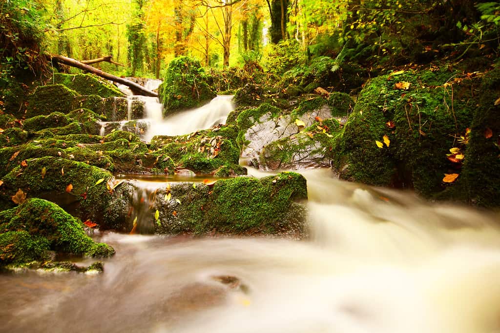 Things To Do in Cavan: A Traveller’s Guide to Exploring the Picturesque Beauty of the County