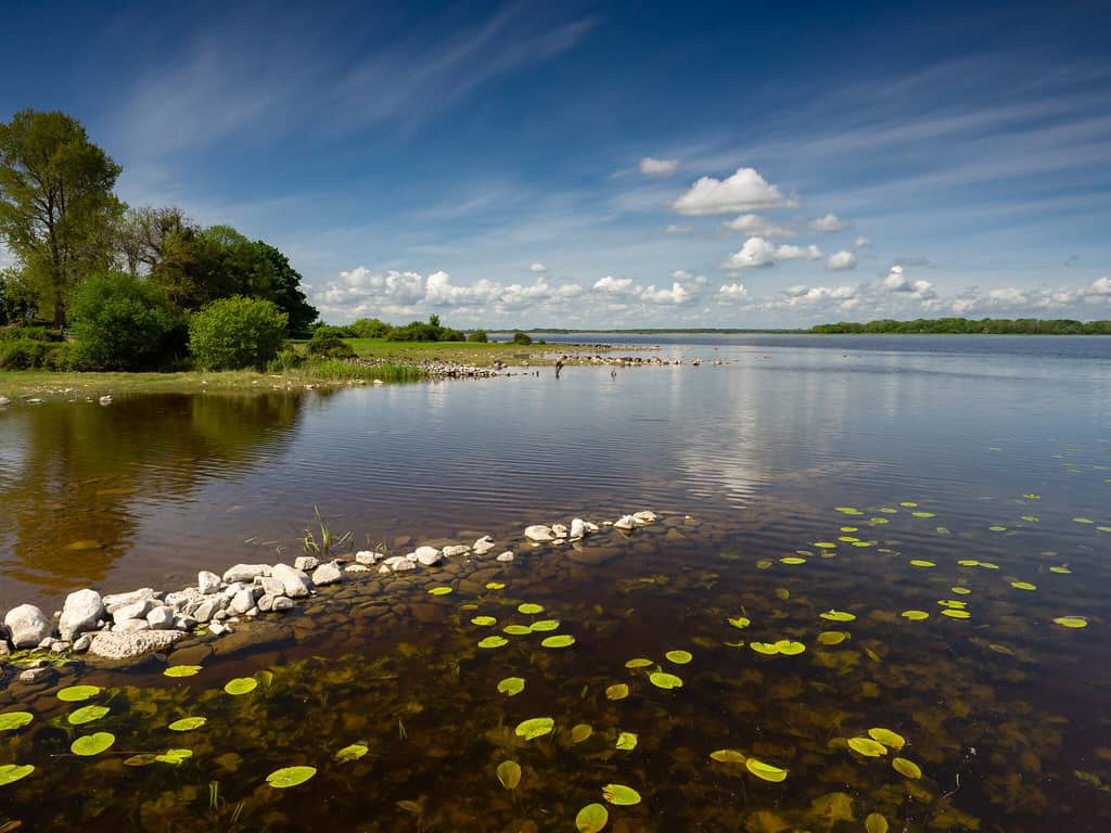 Things to do in Roscommon