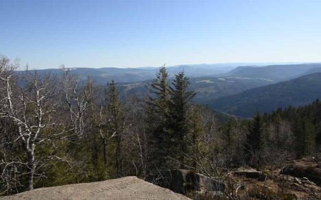 Discover Les Vosges Mountains
