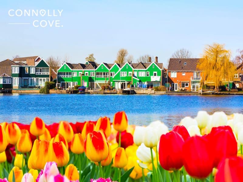 Travelling to the Netherlands: Everything You Need to Know Beforehand