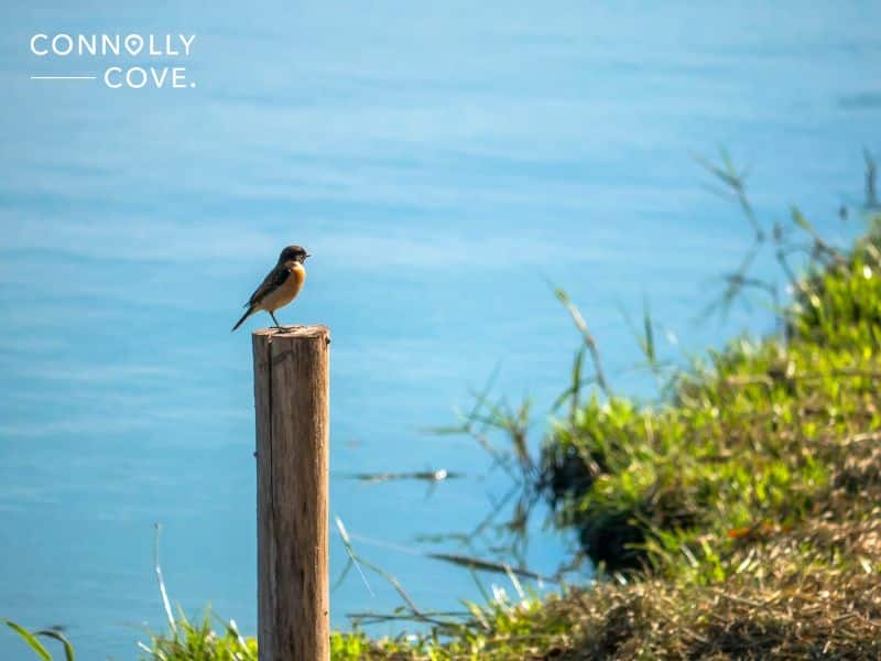 Lake Mývatn: Top Things to Do and Tipd for a Great Trip