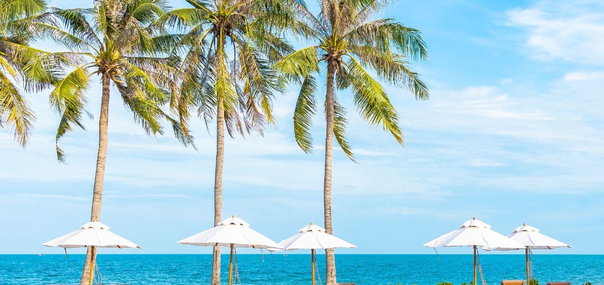 Discover the Sunshine State: Why Florida Should be on Your Travel Bucket List