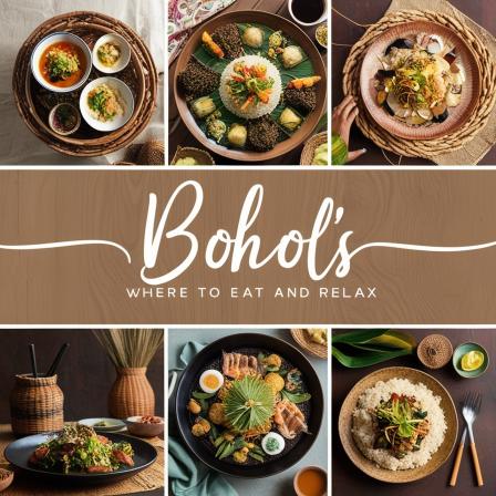 A Day in Bohol: How to Make the Most of 24 Hours on the Island