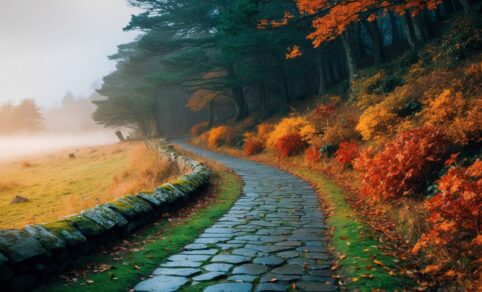 Autumn Walks NI: 6 Stunning Trails You Need to Visit in Northern Ireland