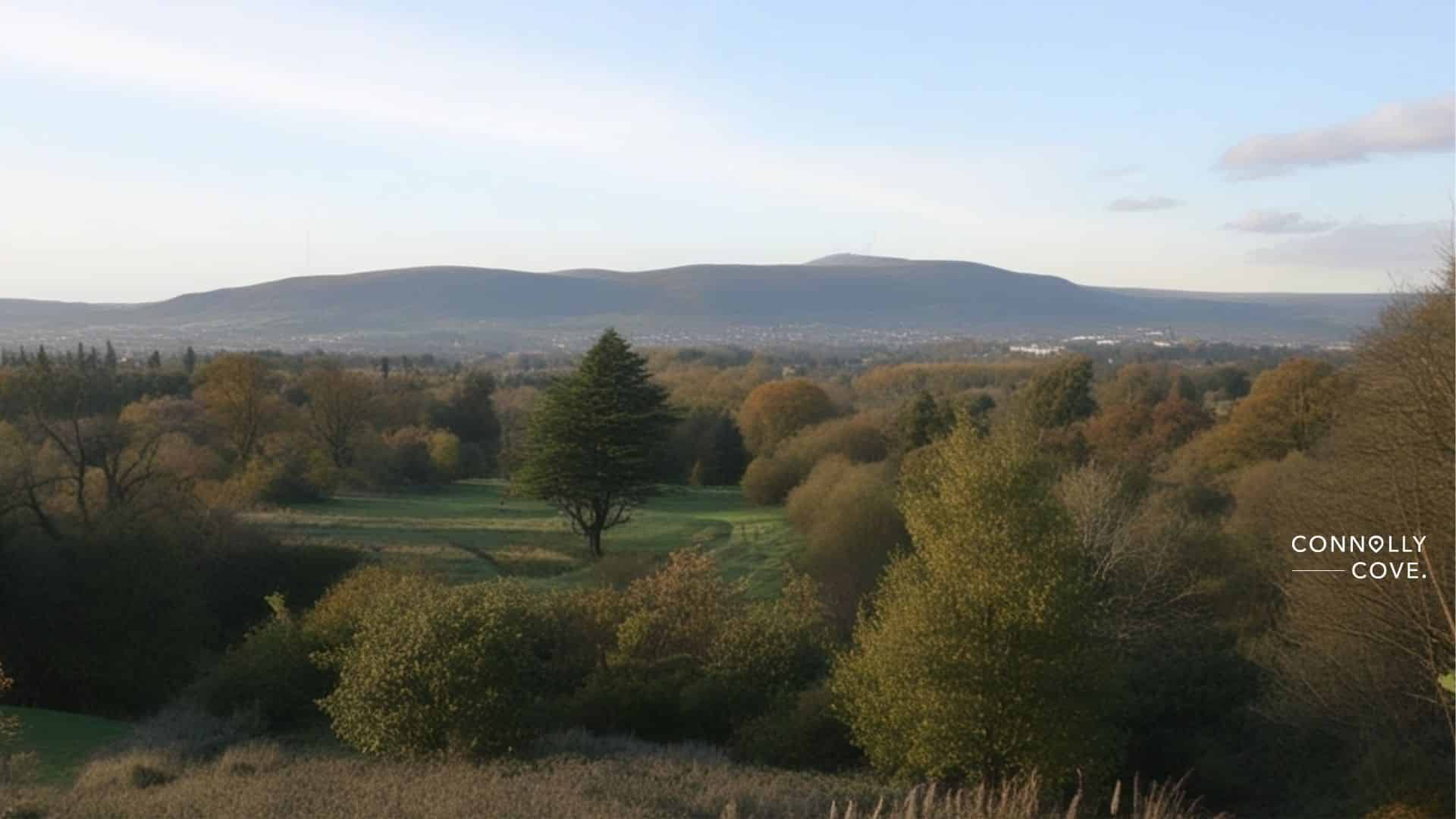Belvoir Park Belfast: Your Complete Guide to Forest Walks & Hidden History