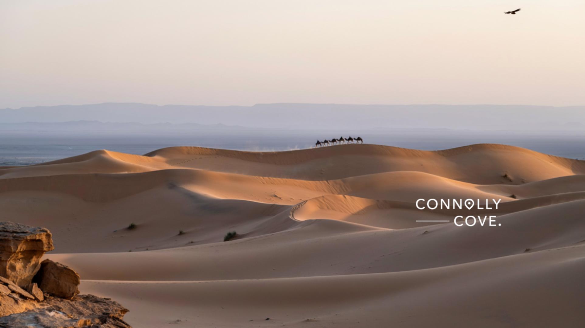 The Ancient Trade Routes of the Sahara Gold, Salt and Empire