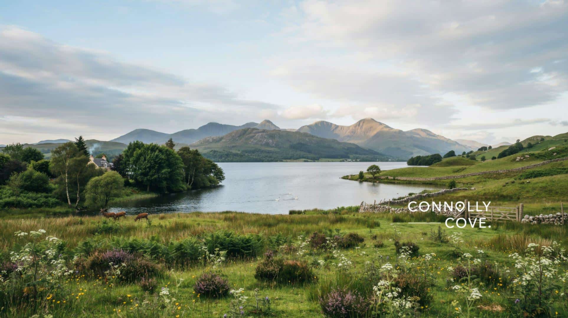 The Green Heart of the Emerald Isle featuring the real Killarney National Park, Lough Leane, lush green hills and Irish mountains.